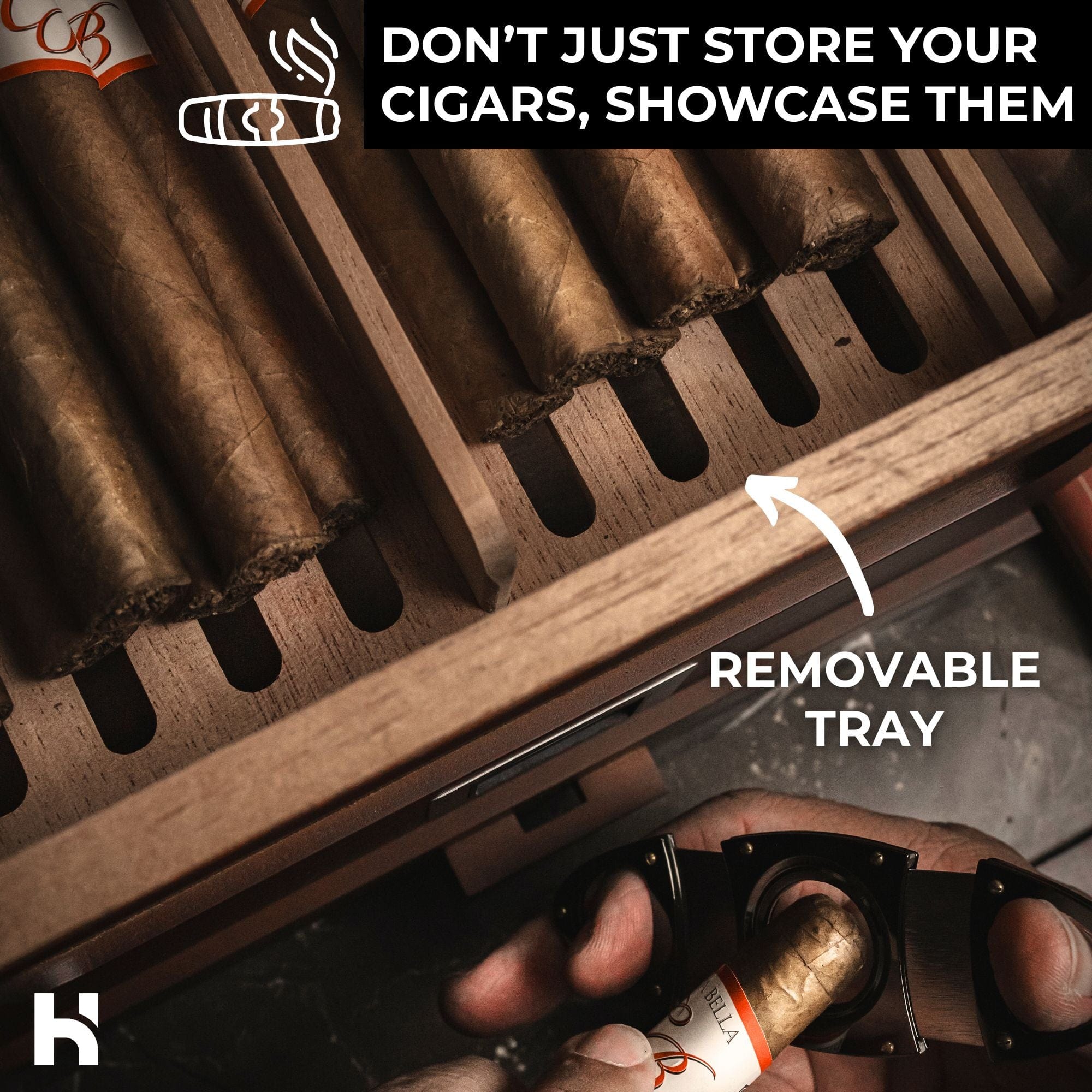 The Humidor