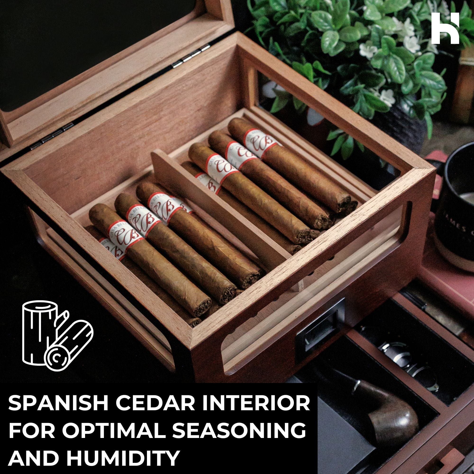The Humidor