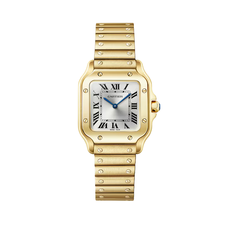 Santos de Cartier watch
